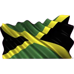 drapeau 901