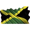 drapeau 901