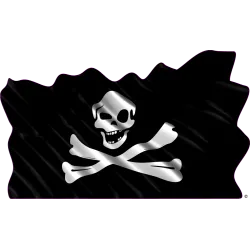 drapeau 905