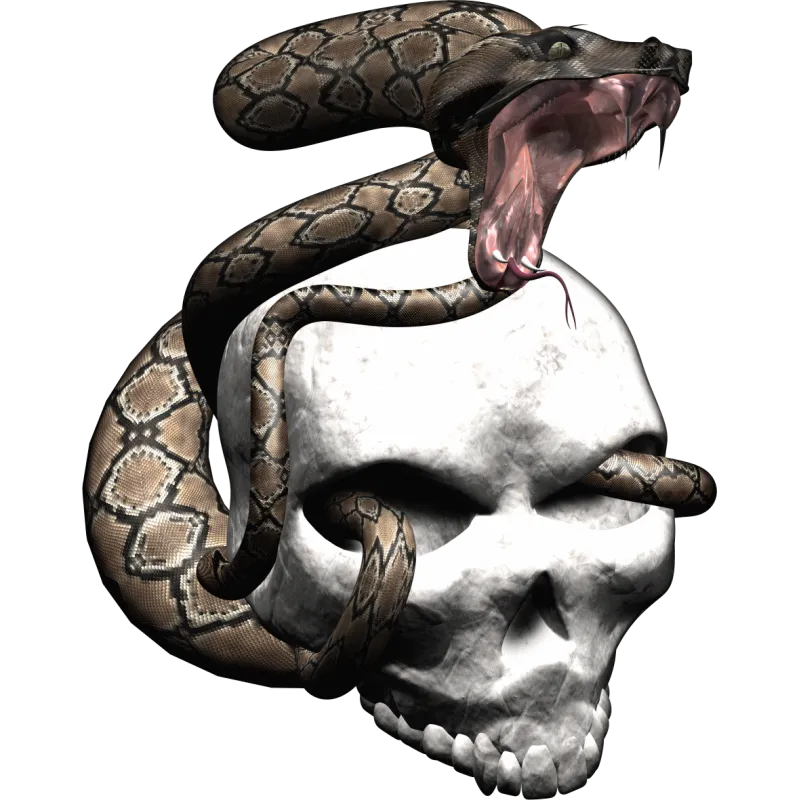 tetes de mort joker