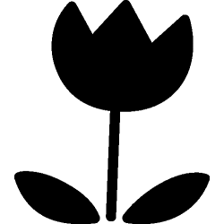 Fleur 456