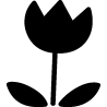 Fleur 456