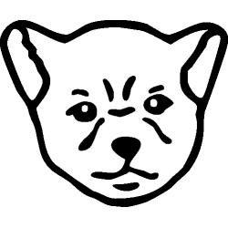 Chien 505