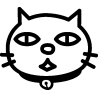 Chat 507