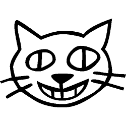 Chat 509