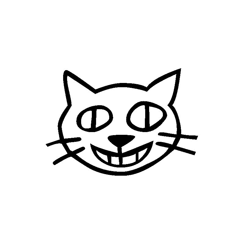 Chat 509