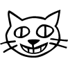 Chat 509