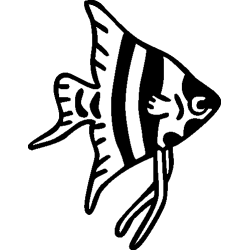 Calamar