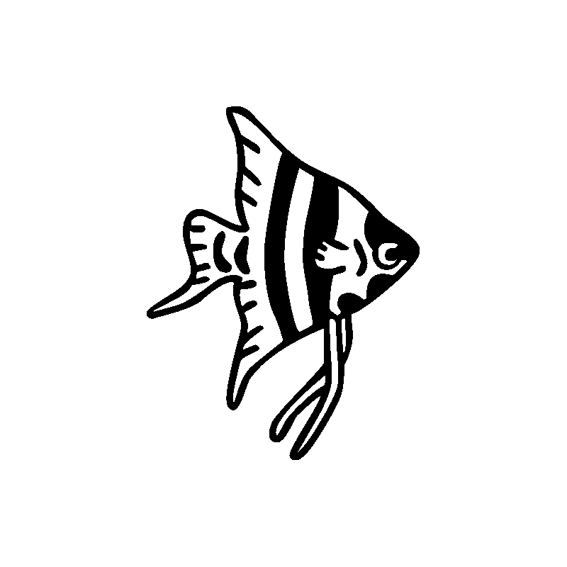 Calamar