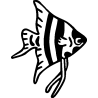 Calamar