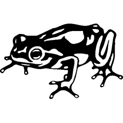 Grenouille 574