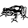 Grenouille 574