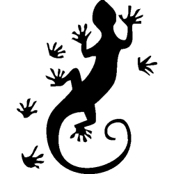 salamandre28