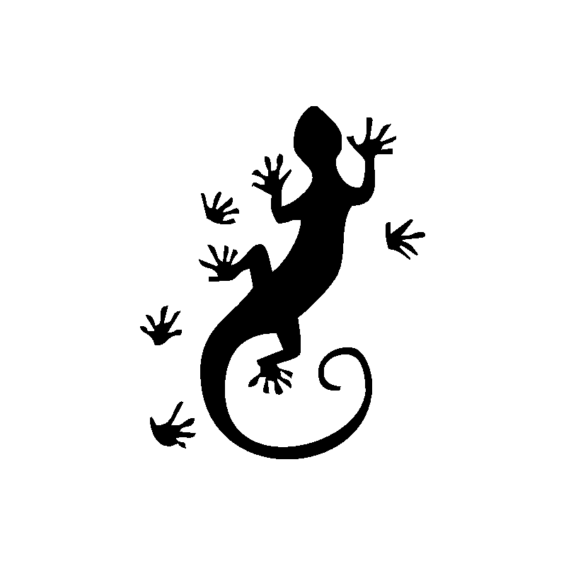 salamandre28