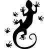 salamandre28