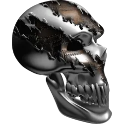tete de mort chrome os