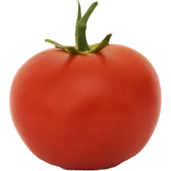 Grappe tomates