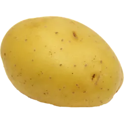 Tomate