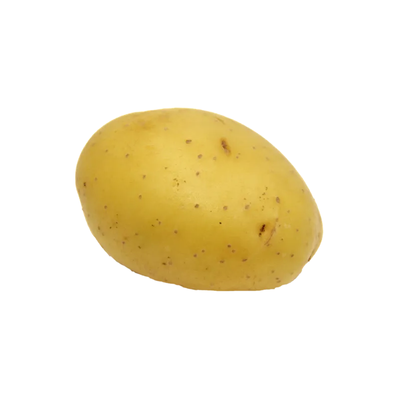 Tomate