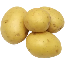 Pomme de terre