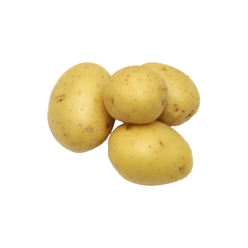 Pomme de terre