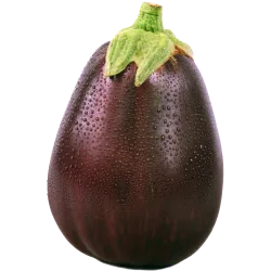 Pommes de terre