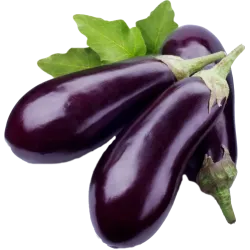 Aubergine
