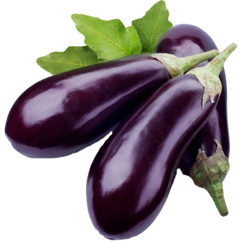 Aubergine