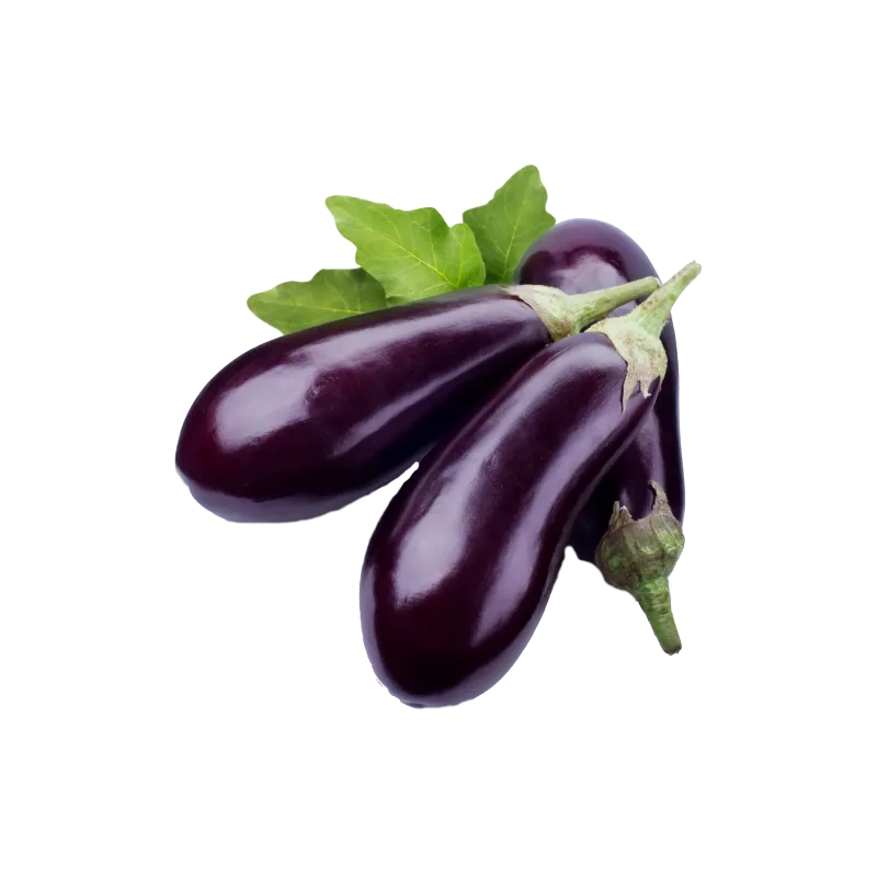 Aubergine