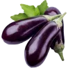 Aubergine