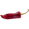 Aubergines