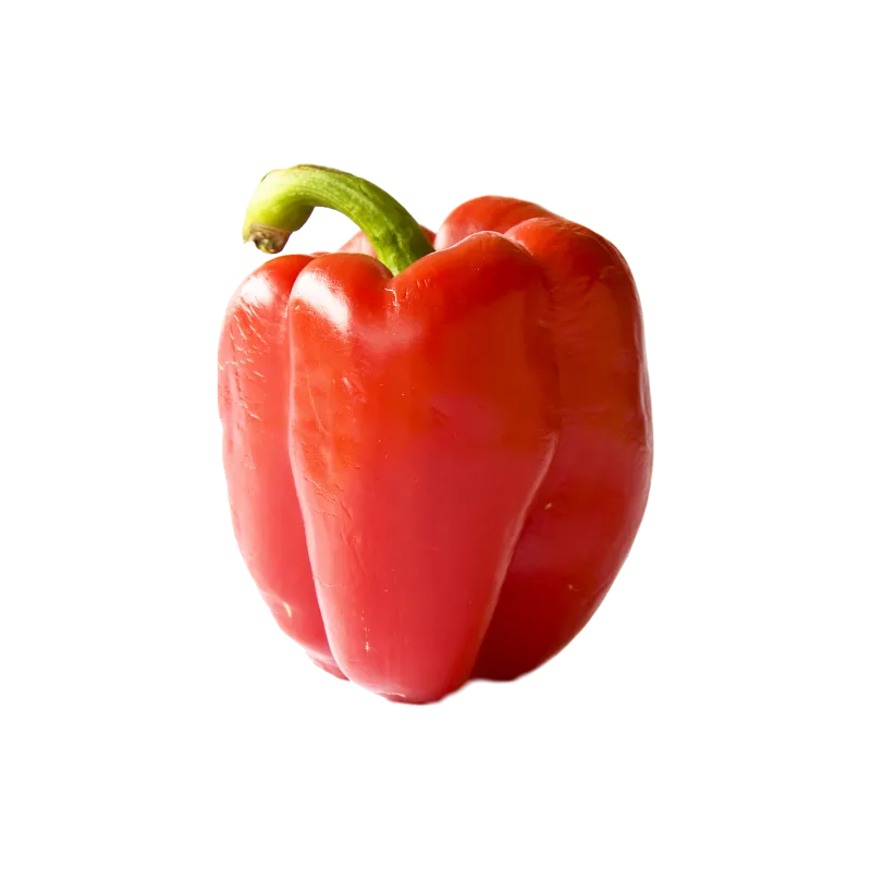 Poivron vert