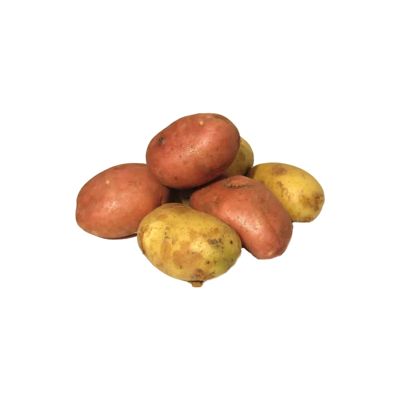 Poivron rouge