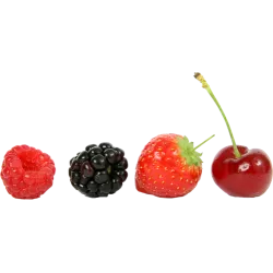 Fruits rouges