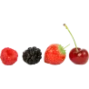 Fruits rouges
