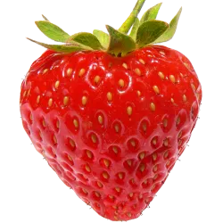 Fruits des bois