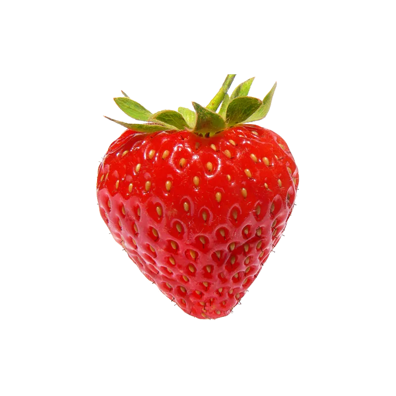Fruits des bois