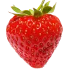 Fruits des bois
