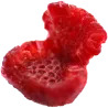 Fraise 3