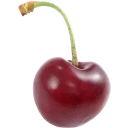 Framboise