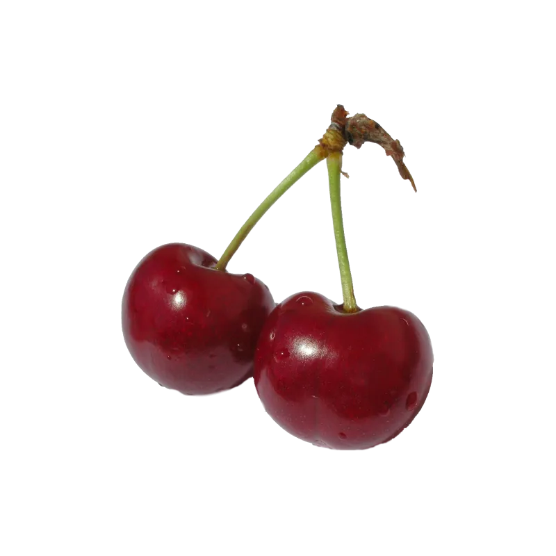Cerise