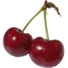 Cerise