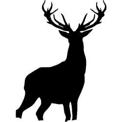 chien 5470