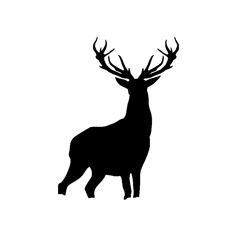 chien 5470