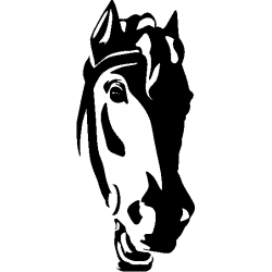 cheval aile