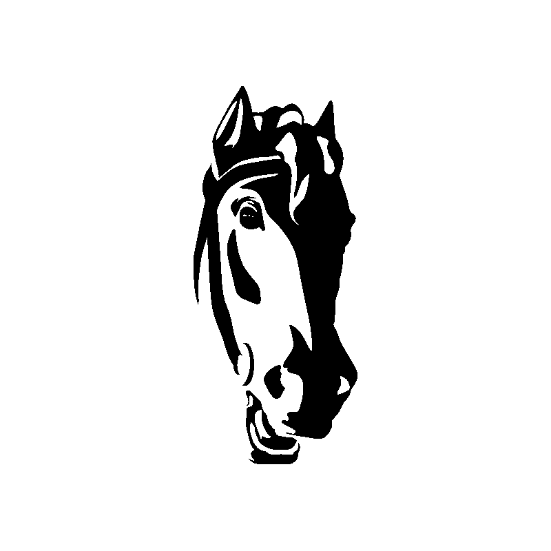 cheval aile