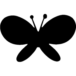 Papillon 5781