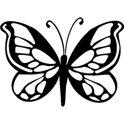 Papillon 5782