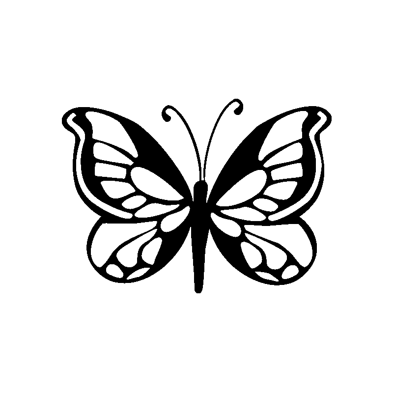 Papillon 5782