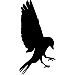 Oiseau